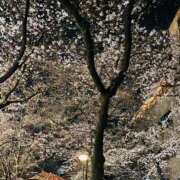 ヒメ日記 2026/03/30 21:14 投稿 美瑞穂(みずほ) PLUS十三店