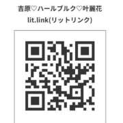 ヒメ日記 2025/03/04 22:01 投稿 叶麗花 ハールブルク