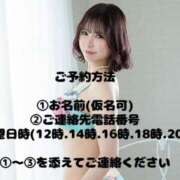 ヒメ日記 2025/03/07 23:01 投稿 叶麗花 ハールブルク