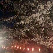 ヒメ日記 2025/03/24 18:00 投稿 叶麗花 ハールブルク