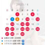 ヒメ日記 2025/03/27 11:45 投稿 叶麗花 ハールブルク