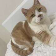 ヒメ日記 2025/04/03 11:55 投稿 叶麗花 ハールブルク