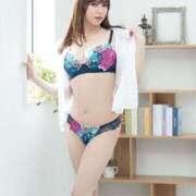 ヒメ日記 2025/04/09 21:20 投稿 叶麗花 ハールブルク