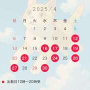 ヒメ日記 2025/04/10 22:15 投稿 叶麗花 ハールブルク