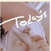 ヒメ日記 2025/04/15 13:38 投稿 叶麗花 ハールブルク