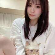 ヒメ日記 2025/04/22 07:31 投稿 叶麗花 ハールブルク