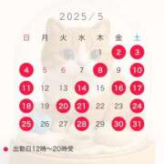 ヒメ日記 2025/04/22 21:01 投稿 叶麗花 ハールブルク