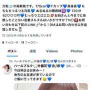 ヒメ日記 2025/04/24 12:08 投稿 叶麗花 ハールブルク