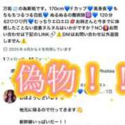 ヒメ日記 2025/04/26 15:46 投稿 叶麗花 ハールブルク