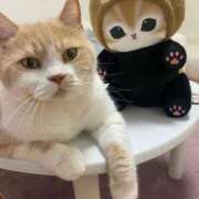 ヒメ日記 2025/04/27 21:43 投稿 叶麗花 ハールブルク