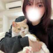 ヒメ日記 2025/04/29 23:30 投稿 叶麗花 ハールブルク