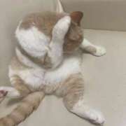 ヒメ日記 2025/05/20 22:16 投稿 叶麗花 ハールブルク