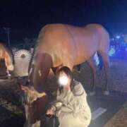 ヒメ日記 2025/05/26 06:56 投稿 叶麗花 ハールブルク