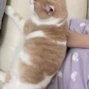 ヒメ日記 2025/06/17 22:45 投稿 叶麗花 ハールブルク