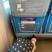 ヒメ日記 2025/07/06 12:40 投稿 叶麗花 ハールブルク