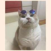 ヒメ日記 2025/07/18 07:15 投稿 叶麗花 ハールブルク