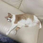 ヒメ日記 2025/08/02 09:15 投稿 叶麗花 ハールブルク