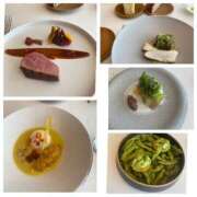 ヒメ日記 2025/08/02 21:52 投稿 叶麗花 ハールブルク