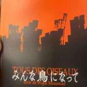 ヒメ日記 2025/08/02 22:31 投稿 叶麗花 ハールブルク