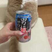 ヒメ日記 2025/08/12 07:15 投稿 叶麗花 ハールブルク