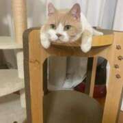 ヒメ日記 2025/08/15 13:41 投稿 叶麗花 ハールブルク