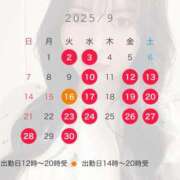 ヒメ日記 2025/08/20 16:45 投稿 叶麗花 ハールブルク