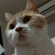 ヒメ日記 2025/08/25 16:48 投稿 叶麗花 ハールブルク