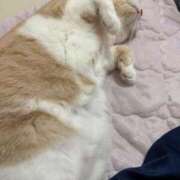 ヒメ日記 2025/09/11 11:45 投稿 叶麗花 ハールブルク