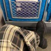 ヒメ日記 2025/09/23 08:30 投稿 叶麗花 ハールブルク