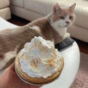 ヒメ日記 2025/09/26 07:15 投稿 叶麗花 ハールブルク