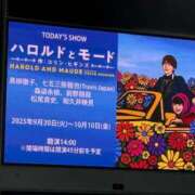 ヒメ日記 2025/10/09 19:45 投稿 叶麗花 ハールブルク