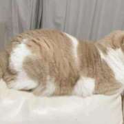 ヒメ日記 2025/10/18 12:10 投稿 叶麗花 ハールブルク