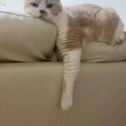 ヒメ日記 2025/11/01 07:15 投稿 叶麗花 ハールブルク