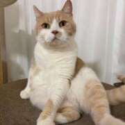 ヒメ日記 2025/11/09 15:53 投稿 叶麗花 ハールブルク