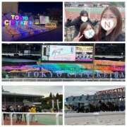 ヒメ日記 2025/11/11 22:36 投稿 叶麗花 ハールブルク