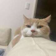 ヒメ日記 2025/12/05 19:51 投稿 叶麗花 ハールブルク