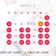 ヒメ日記 2025/12/22 05:30 投稿 叶麗花 ハールブルク