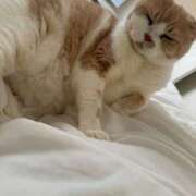 ヒメ日記 2025/12/22 12:55 投稿 叶麗花 ハールブルク