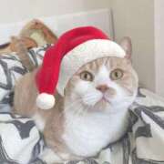 ヒメ日記 2025/12/25 07:45 投稿 叶麗花 ハールブルク