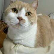 ヒメ日記 2026/02/22 07:15 投稿 叶麗花 ハールブルク