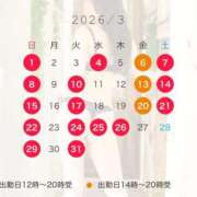 ヒメ日記 2026/02/24 07:15 投稿 叶麗花 ハールブルク