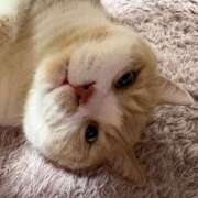 ヒメ日記 2026/02/26 14:49 投稿 叶麗花 ハールブルク