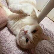 ヒメ日記 2026/03/08 12:30 投稿 叶麗花 ハールブルク