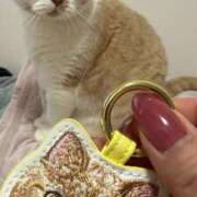 ヒメ日記 2026/03/19 19:37 投稿 叶麗花 ハールブルク