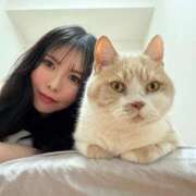 ヒメ日記 2026/03/29 07:15 投稿 叶麗花 ハールブルク