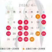 ヒメ日記 2026/03/30 23:45 投稿 叶麗花 ハールブルク