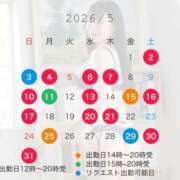 ヒメ日記 2026/04/23 20:31 投稿 叶麗花 ハールブルク