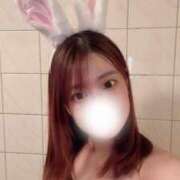 ヒメ日記 2025/05/21 12:25 投稿 れいな 恋するバニー