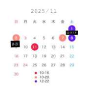 ヒメ日記 2025/10/31 16:44 投稿 れいな 恋するバニー