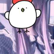 ヒメ日記 2025/09/03 20:00 投稿 あまね 秋葉原ハンドメイド